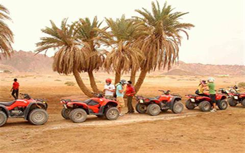 Hurghada Excursions & Day Trips