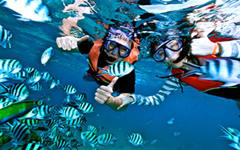 Sharm Excursions & Day Tours